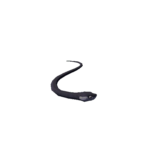 Snake 5